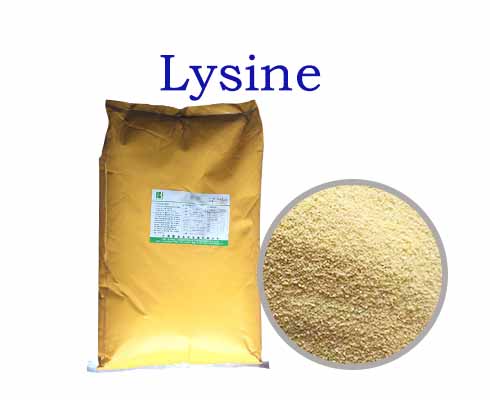 L-Lysine